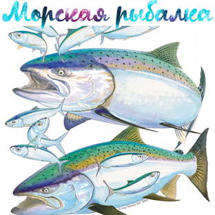 Морская рыбалка